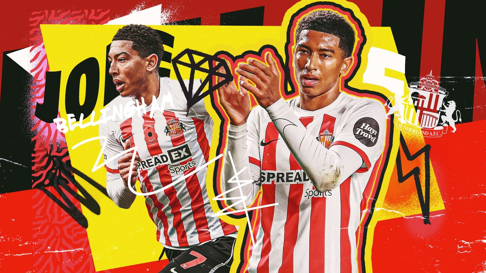 年卡塔尔世 年卡塔尔世